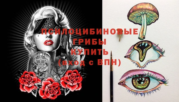 твердый Осинники